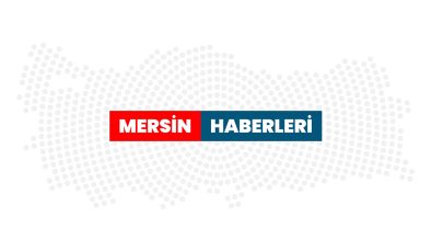 Mersin’de sahte dolar operasyonunda 1 şüpheli yakalandı