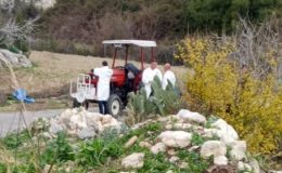 Traktörle kabir ziyaretinden dönen kişiyi öldüren şüpheli tutuklandı